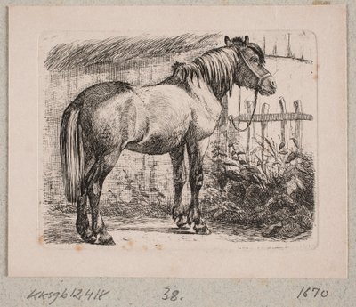 Bir yular ile bir at by Johannes Wilhelm Zillen