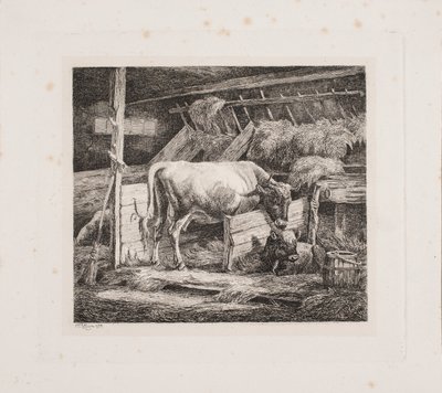 bir kostal by Johannes Wilhelm Zillen