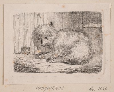 Uzun tüylü bir köpek by Johannes Wilhelm Zillen