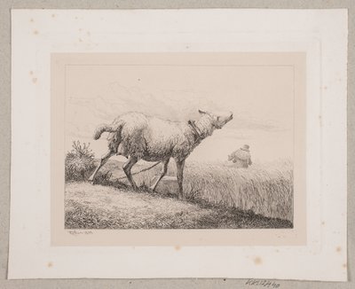 Uluyan koyun by Johannes Wilhelm Zillen