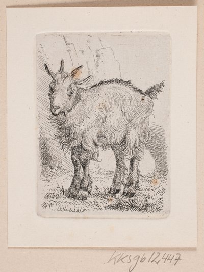 o gedekid by Johannes Wilhelm Zillen