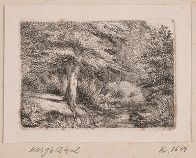 Skovparti by Johannes Wilhelm Zillen