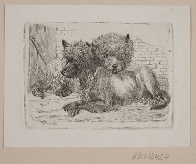 iki yalancı köpek by Johannes Wilhelm Zillen