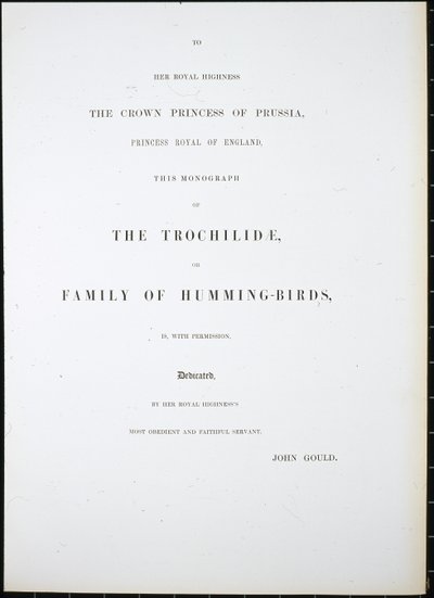 Frontispiece (el renginde taş) by John (after) Gould