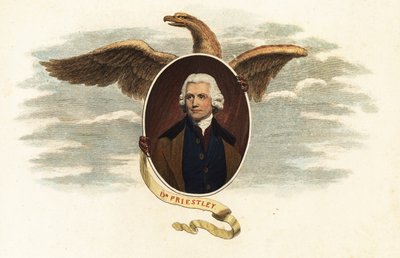 Dr Joseph Priestley, ilahiyatçı ve bilim adamı by John (after) Opie