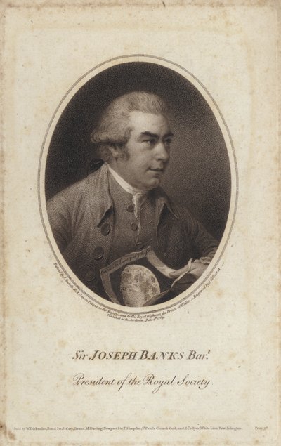 Sir Joseph Banks, İngiliz doğa bilimci, botanikçi ve Kraliyet Cemiyeti Başkanı (gravür) by John (after) Russell