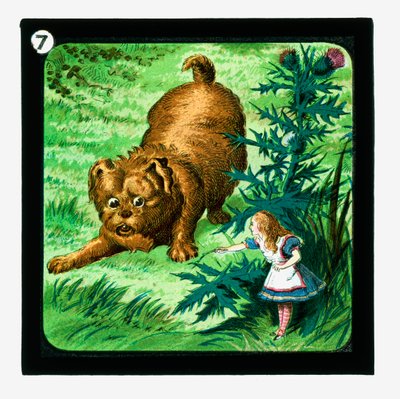 Alice Harikalar Diyarında, Renkli Fener Slaytları (fener slayt) by John (after) Tenniel