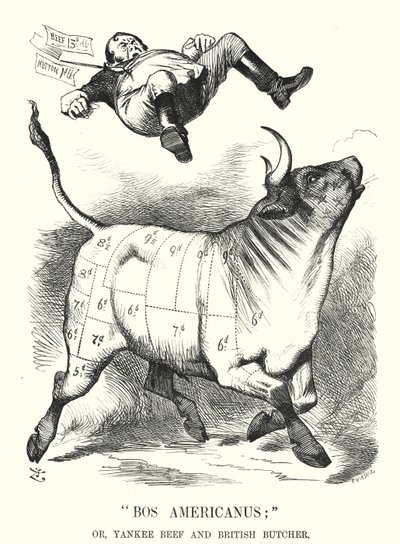 Yumruk karikatürü: Bos Americanus; veya, Yankee Beef ve British Butcher - Amerikan eti ithal etmenin tüketicilere beklenen faydaları (gravür) by John (after) Tenniel