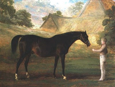 Foxglove, bir Bay Safkan by John (attr. to) Boultbee