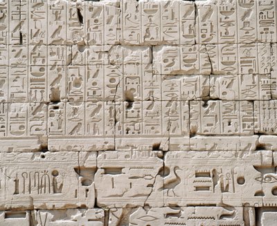 Mısır, Luksor Valiliği, Karnak, Büyük Amon Tapınağı, Büyük Hipostil Salonu, Dış Duvar Detayı by Walter Charles Mills