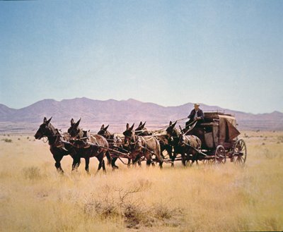 Altı katırlı bir ekip tarafından çekilen Batı Posta Arabası (fotoğraf) by Walter Charles Mills