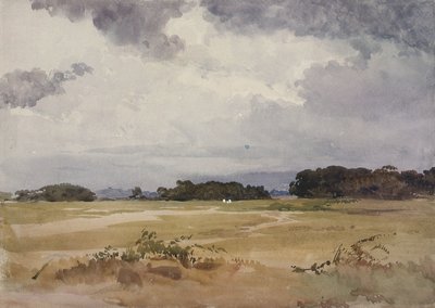 Ağaç gruplarının olduğu bir alan, 19. yy; by John Absolon