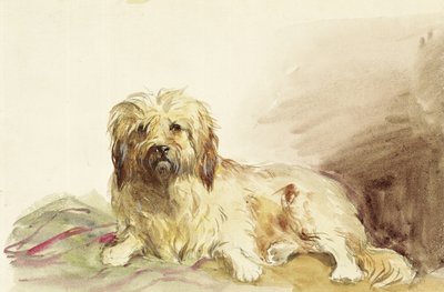 Sanatçının Köpeği, 1860 dolayları by John Adam P. Houston