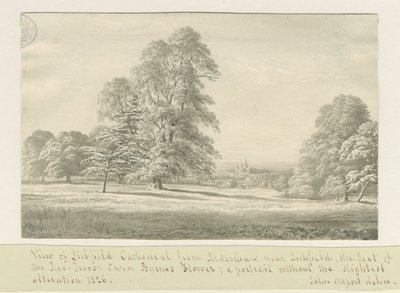 Lichfield Katedrali - Aldershaw