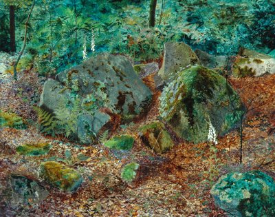 Yosunlu Bir Glen, 1864 by John Atkinson Grimshaw