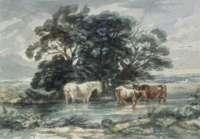 Manzara, iki inek ve suda duran bir at, (kroki) by John Barker