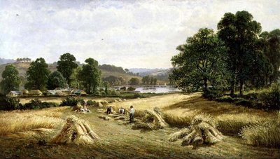Bishopsteignton, Plymouth yakınlarında Altın Tahıl Toplama by John Barrett
