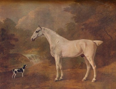 Pire Isırılan Gri ve Benekli Teriyer, 1803. by John Boultbee