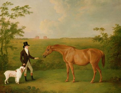 Peyzajda Beyaz Köpekli ve Kestane Kısraklı Bir Beyefendi (tuval üzerine yağlı boya) by John Boultbee