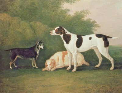 Bir Manzarada Üç Köpek by John Boultbee