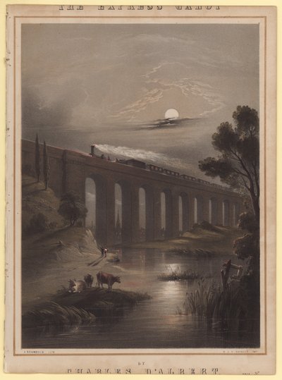 ಎಕ್ಸ್‌ಪ್ರೆಸ್ ಗ್ಯಾಲೋಪ್ ಟರ್ಕ್ by John Brandard