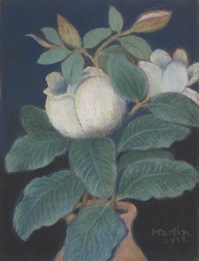 Manolya Çiçekleri, 1933 by John Breckinridge Martin