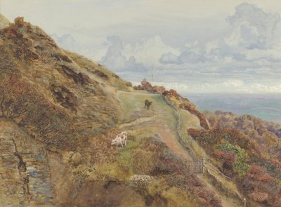 Bonchurch Downs, 1865. by John Brett