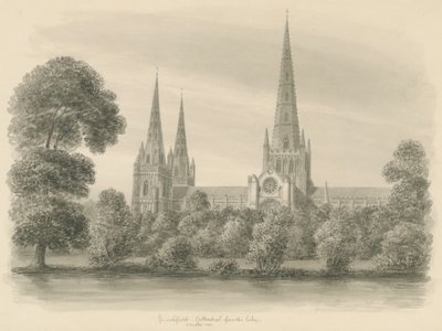 Lichfield Katedrali - Güney Görünümü: sepya çizimi by John Buckler