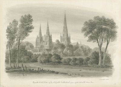 Lichfield Katedrali - Güney Batı Görünümü: sepya çizimi by John Buckler