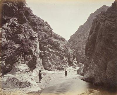 Kirletmenin sonu, Ali Mescidi