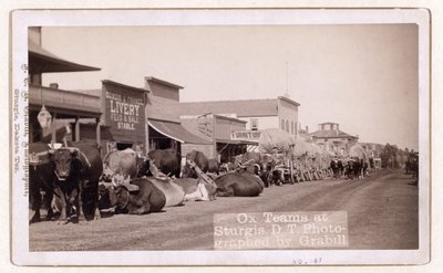 Sturgis, D.T., pub.1887 - 1892