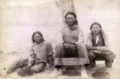 Batı kıyafetleri içinde üç Lakotalı genç, 1891 by John C. H. Grabill