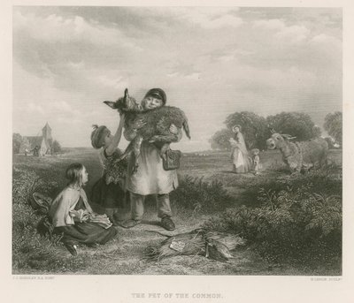 Ortak Evcil Hayvan by John Callcott Horsley