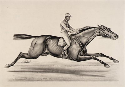  by John Cameron