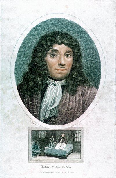 Anton van Leeuwenhoek 1632-1723, Hollandalı mikroskop uzmanı, c1810 by John Chapman