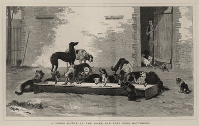 Battersea, Kayıp Köpekler İçin Evde Yemek Masası by John Charles Dollman