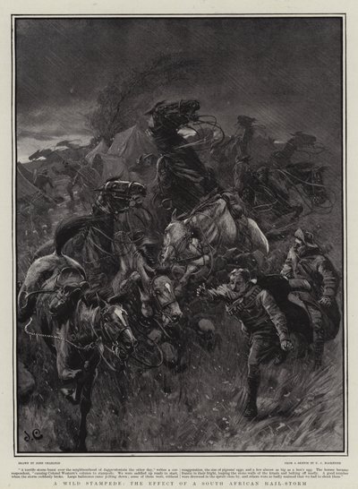 Vahşi Bir İzdiham, Güney Afrika Dolu Fırtınasının Etkisi by John Charlton