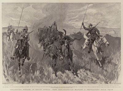 Güney Afrika'da Yem Toplama, Sömürgeler Ateşe Dayanıklı Katır Takımını nasıl yönetiyor by John Charlton