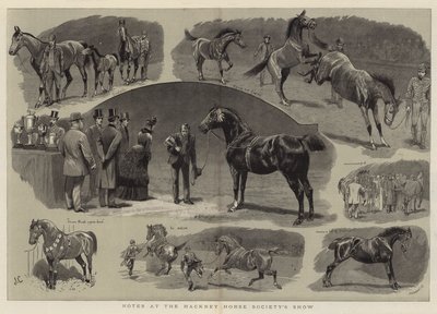 Hackney Horse Society Gösterisinden Notlar by John Charlton