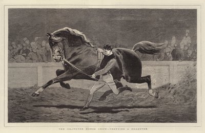 Islington Horse Show, bir Roadster