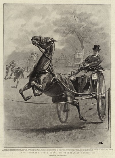 Richmond At Gösterisi, Prova Edilmemiş Bir Sergi by John Charlton