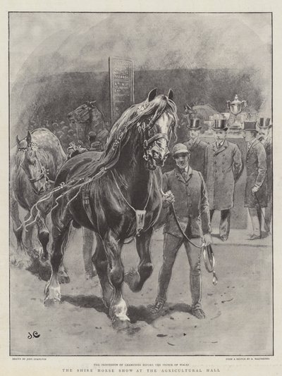Tarım Salonunda Shire At Gösterisi by John Charlton