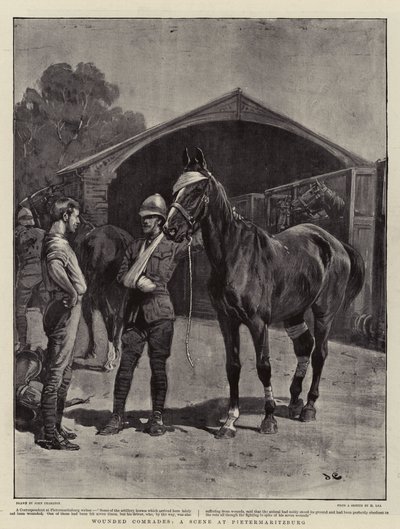 Yaralı Yoldaşlar, Pietermaritzburg