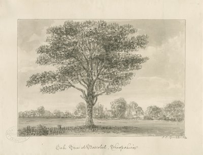 Boscobel - Royal Oak : sepya çizimi, 1820 by John Chessell Buckler