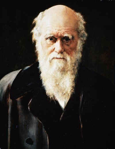 İngiliz doğa bilimci Charles Darwin