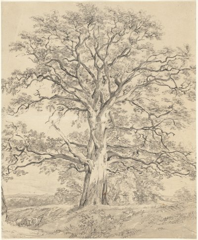 Büyük Meşe Ağacı by John Constable