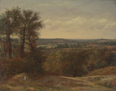 Dedham Vadisi by John Constable