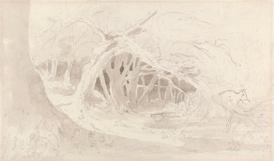 Helmingham: Sessiz Havuz by John Constable