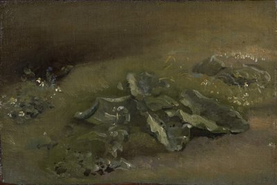Bir Dulavratotu Çalışması, c.1810-14 veya c.1828 by John Constable