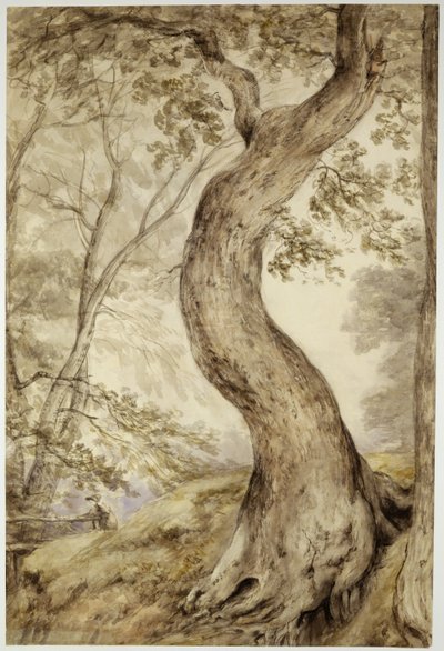 Helmingham